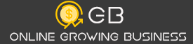 Online Business